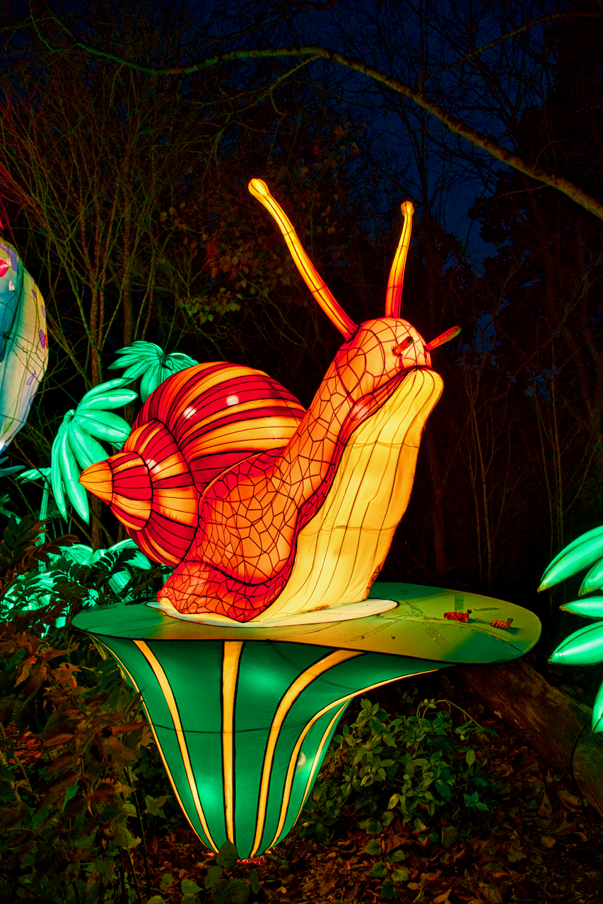 Wild Lanterns At Woodland Park Zoo Is A Glowing Triumph | Westside Seattle